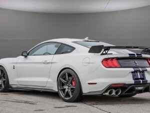 Painted Ford Mustang GT500 Track Pack Spoiler 2015-2023 – Aggwings Aftermarket Rear Wing